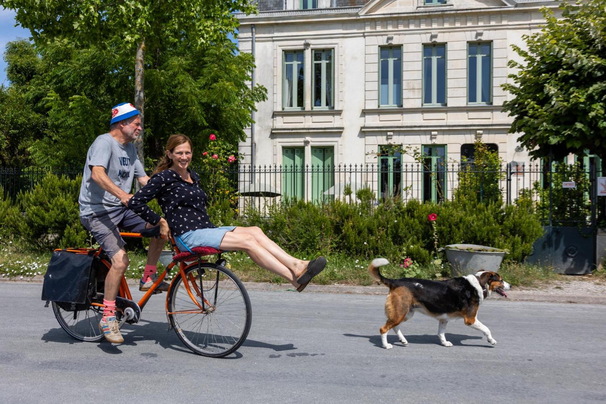 Le Domaine Du Meunier Hotell Mortagne-sur-Gironde Exteriör bild